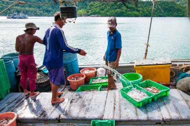 baan aoyai salata balıkçı köyü koh kood Island, Tayland tarihinde, Tayland balıkçı gün sıralama yakalama