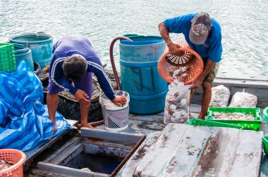 baan aoyai salata balıkçı köyü koh kood Island, Tayland tarihinde, Tayland balıkçı gün sıralama yakalama