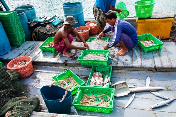 Thai fishermen sorting day capture at Baan AoYai Salad fishing village on Koh Kood Island, Thailand