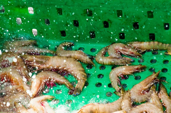 Čerstvé krevety v barevné zásobníku na trh — Stock fotografie