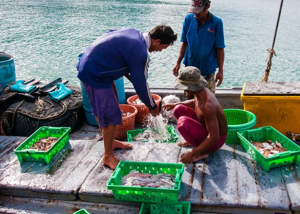 Baan aoyai salata balıkçı köyü koh kood Island, Tayland tarihinde, Tayland balıkçı gün sıralama yakalama — Stok fotoğraf