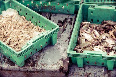 taze deniz ürünleri kutuları balık Market