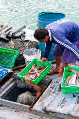 baan aoyai salata balıkçı köyü koh kood Island, Tayland tarihinde, Tayland balıkçı gün sıralama yakalama