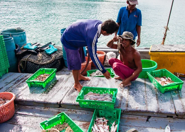 Thai fishermen sorting day capture at Baan AoYai Salad fishing village on Koh Kood Island, Thailand — Stock Photo, Image