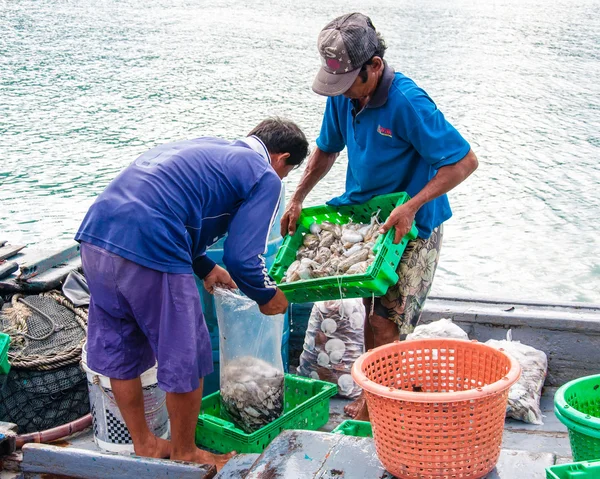 Baan aoyai salata balıkçı köyü koh kood Island, Tayland tarihinde, Tayland balıkçı gün sıralama yakalama — Stok fotoğraf