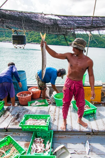 Thai fishermen sorting day capture at Baan AoYai Salad fishing village on Koh Kood Island, Thailand — Stock Photo, Image