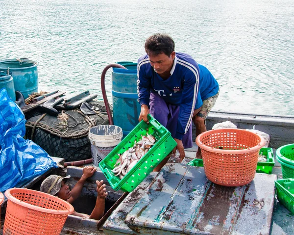 Thai fishermen sorting day capture at Baan AoYai Salad fishing village on Koh Kood Island, Thailand — Stock Photo, Image