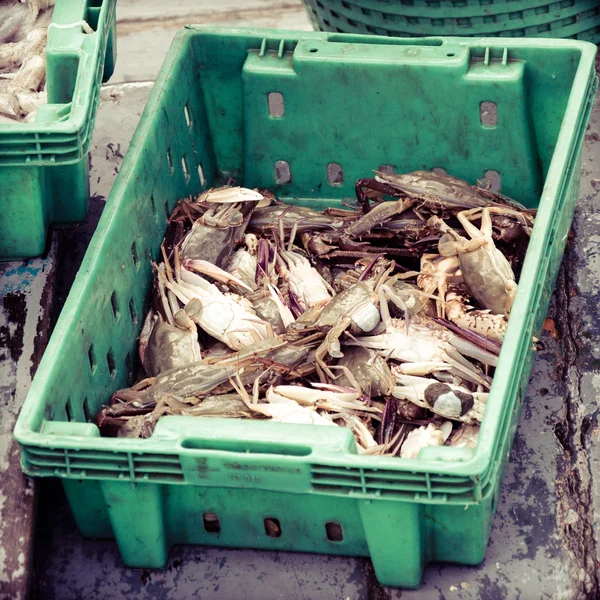 Krabi v zelené plastové krabičce na rybí trh — Stock fotografie