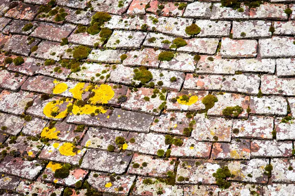 Achtergrond van oud dak bedekt met tegels — Stockfoto