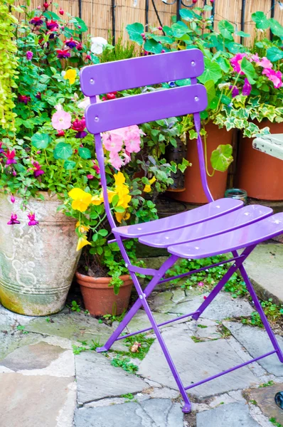 Vista della sedia viola circondata da vari fiori colorati — Foto Stock
