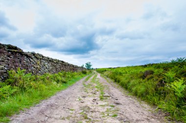 boş lane ile taş çit kırsal lancashire, İngiltere