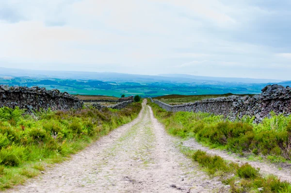 Bandă goală cu garduri de piatră în Lancashire rural, Marea Britanie — Fotografie, imagine de stoc