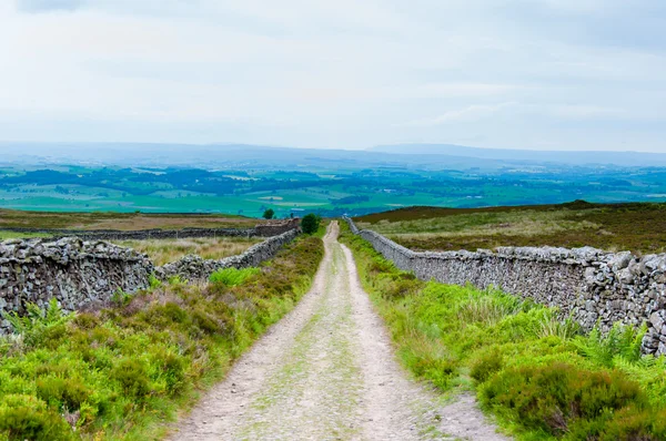 Leere Gasse mit Steinzäunen in lancashire Landschaft, Großbritannien — Stockfoto