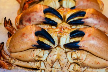 İçinde belgili tanımlık çarşı taze yengeçler closeup görünümü