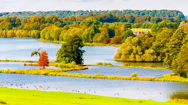 Paisaje inglés en otoño con árboles coloridos y vida silvestre — Foto de Stock