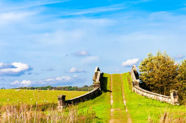 Engelska landsbygden landskap med betande får och gamla bron — Stockfoto