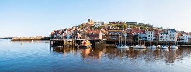 Whitby şehir ve North Yorkshire, İngiltere'de güneşli sonbahar günü manastırda doğal görünümünü.