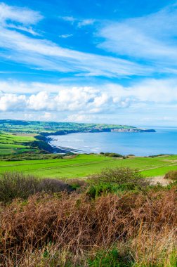 Ravenscar, North Yorkshire, İngiltere'de Robin davlumbaz Körfezi üzerinden doğal görünüm