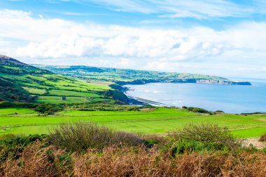 Ravenscar, North Yorkshire, İngiltere'de Robin davlumbaz Körfezi üzerinden doğal görünüm
