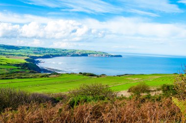 Ravenscar, North Yorkshire, İngiltere'de Robin davlumbaz Körfezi üzerinden doğal görünüm