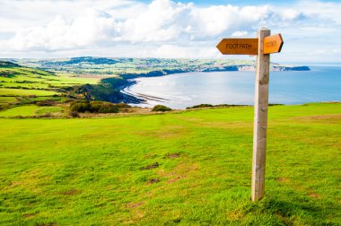 Patika yönü işaret İngilizce kırsal kesimde