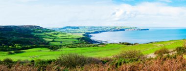 Ravenscar, North Yorkshire, İngiltere'de Robin davlumbaz Körfezi üzerinden doğal görünüm