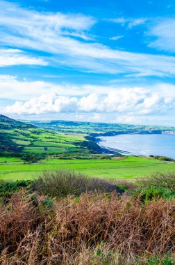 Ravenscar, North Yorkshire, İngiltere'de Robin davlumbaz Körfezi üzerinden doğal görünüm