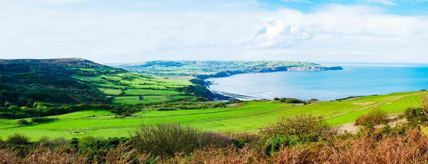 Ravenscar, North Yorkshire, İngiltere'de Robin davlumbaz Körfezi üzerinden doğal görünüm