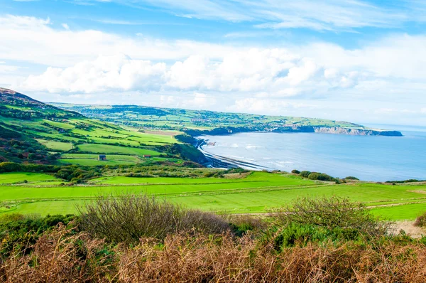 Ravenscar, North Yorkshire, İngiltere'de Robin davlumbaz Körfezi üzerinden doğal görünüm