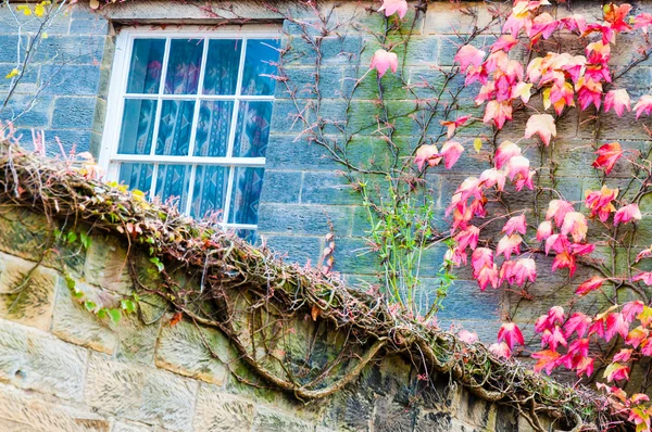 Detail of traditional English house — Stock Photo, Image