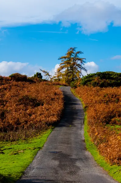 Zielone krajobrazy krajobraz w Yorkshire Dales National Park, Wielka Brytania — Zdjęcie stockowe