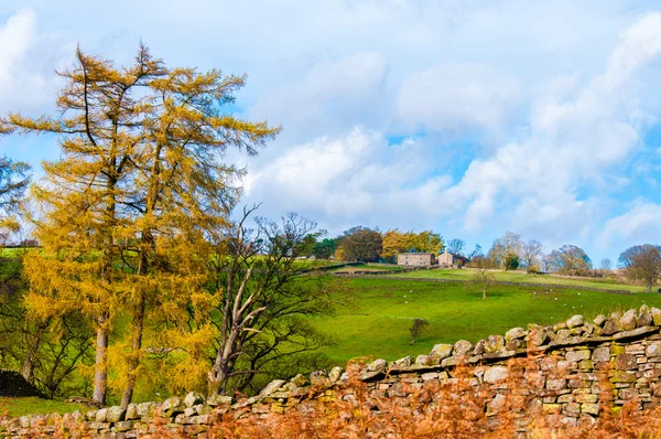 Grüne landschaft im yorkshire dales nationalpark, vereinigtes königreich — Stockfoto