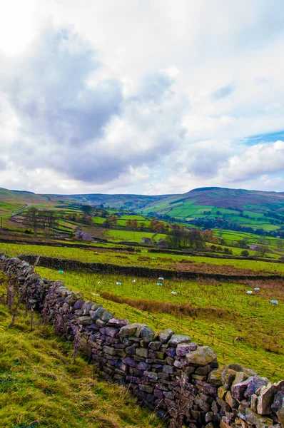 Zielone krajobrazy krajobraz w Yorkshire Dales National Park, Wielka Brytania — Zdjęcie stockowe