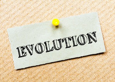 Geri dönüşümlü kağıt Not cork tahtada yıktı. Evrim mesaj. Kavram görüntü