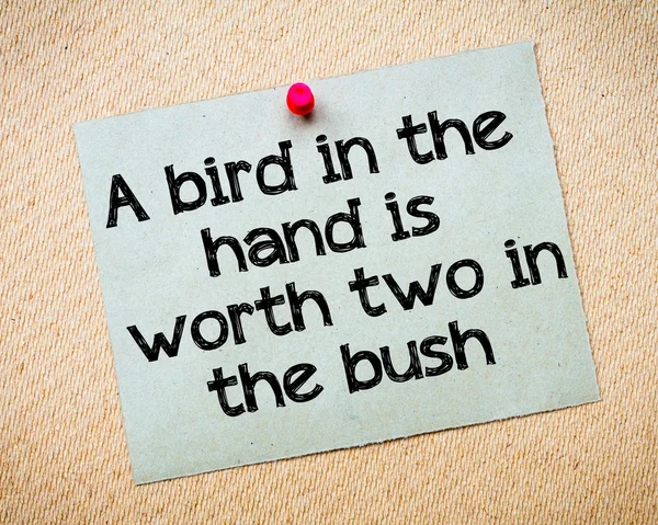 A bird in the hand is worth two in the bush — Stock Photo, Image