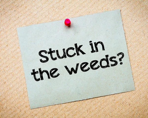 Stuck in the weeds? — Stock Photo, Image