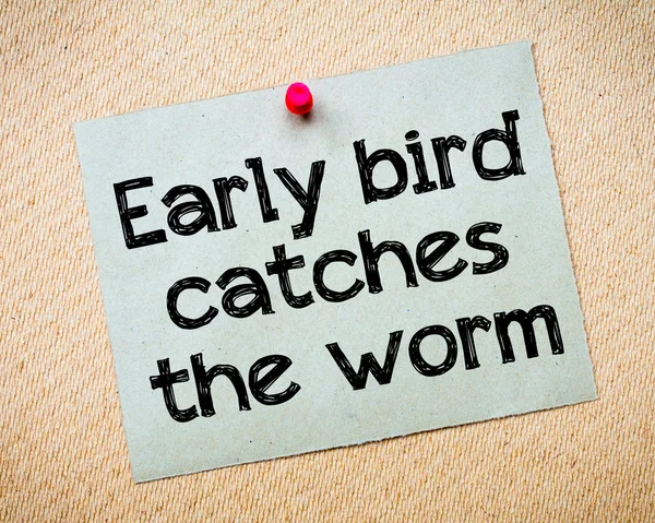 Early bird catches the worm — Stock Photo, Image