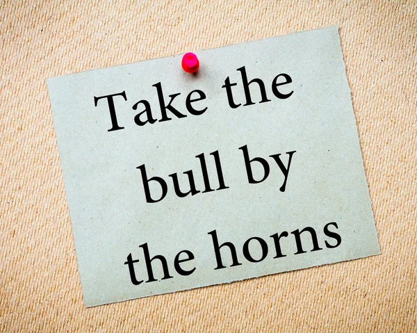 Take The Bull By The Horns — Stock Photo, Image