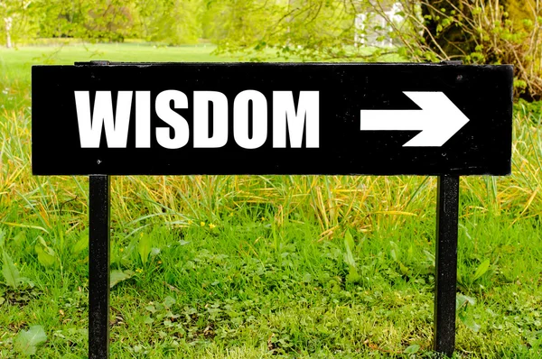 WISDOM scritta su cartello direzionale in metallo nero — Foto Stock