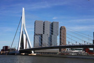 Rotterdam erasmus Köprüsü
