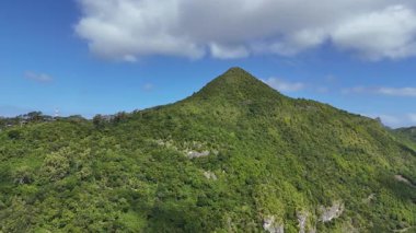 Mauritius 'ta mavi gökyüzünün altında yoğun yeşil ormanlarla kaplı verimli bir tropikal dağın üzerinden geçen sinematik hava aracı görüntüleri. Manzaralı ada doğa manzarası ve seyahat yeri konsepti.