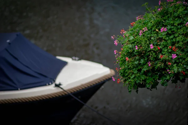 Barca Blu Lampione Verde Fiori Sul Canale Sotto Forte Pioggia — Foto Stock