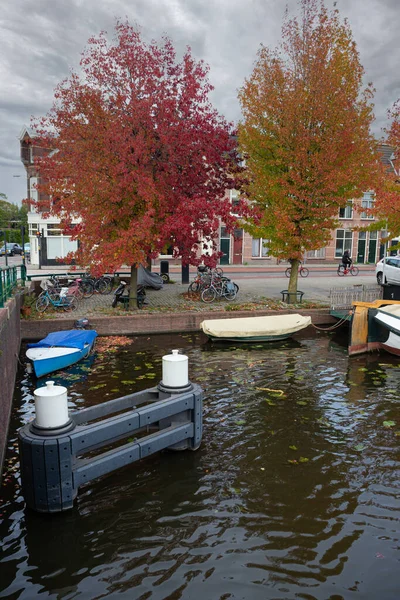 Imagen Árboles Multicolores Cielo Ventoso Nublado Otoño Leiden Países Bajos —  Fotos de Stock