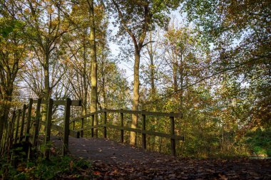 Parkta ahşap bir köprü ve Güney Hollanda 'nın sonbahar renkleriyle