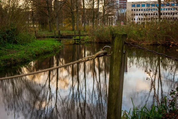 Полдерпарк Кронестейн Парк Городе Лейден Нидерланды Заднем Плане Здания — стоковое фото