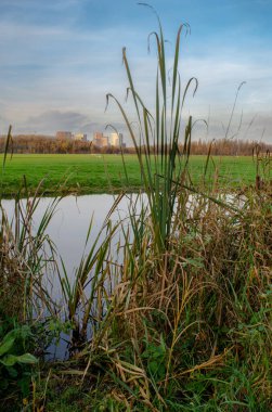 Polderpark Cronesteyn, Hollanda 'nın güneyindeki Leiden şehrinde büyük bir park.