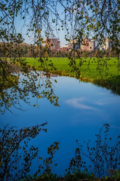 Polderpark Cronesteyn Large Park City Leiden Dutch Province South Holland — Stock Photo, Image