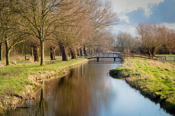 Polderpark Cronesteyn Gran Parque Ciudad Leiden Provincia Holandesa Holanda Meridional — Foto de Stock