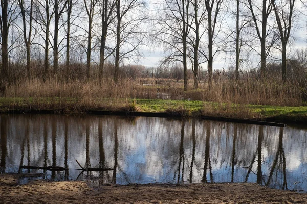 Polderpark Cronesteyn Grande Parco Nella Città Leida Nella Provincia Olandese — Foto Stock