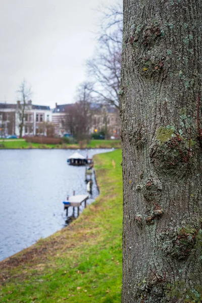 Beautiful Walking Path Canal Sunset Leiden Netherlands — Stock Photo, Image